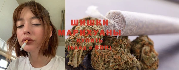 Альфа ПВП Осташков