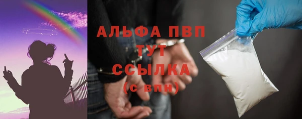 бошки Пересвет