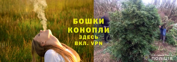 Альфа ПВП Осташков