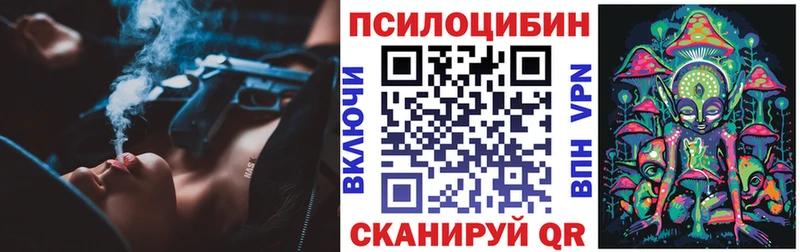 Галлюциногенные грибы Psilocybine cubensis  Североморск 