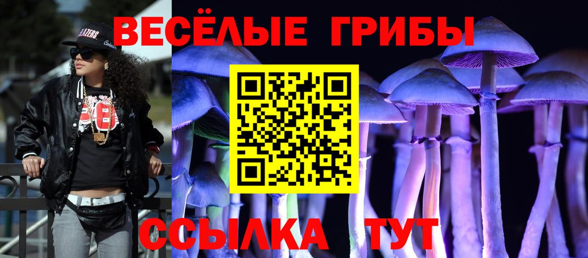 Псилоцибиновые грибы GOLDEN TEACHER  Вход с VPN  Североморск 